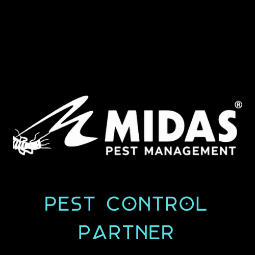 Midas Pest Management